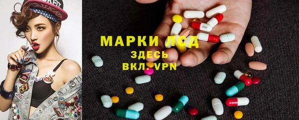 стафф Алзамай