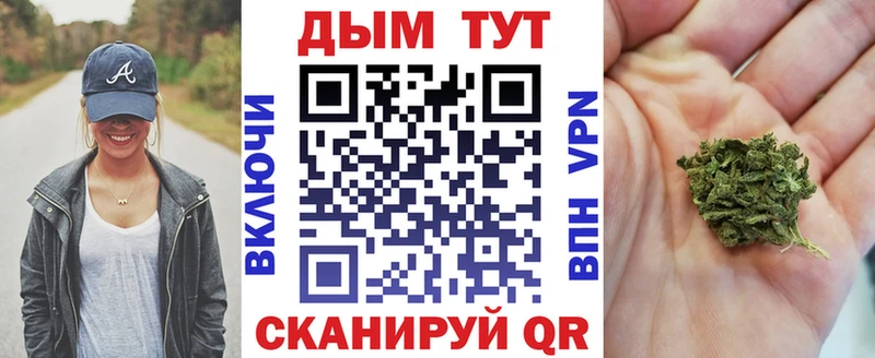 Каннабис SATIVA & INDICA  купить наркоту  Снежногорск 